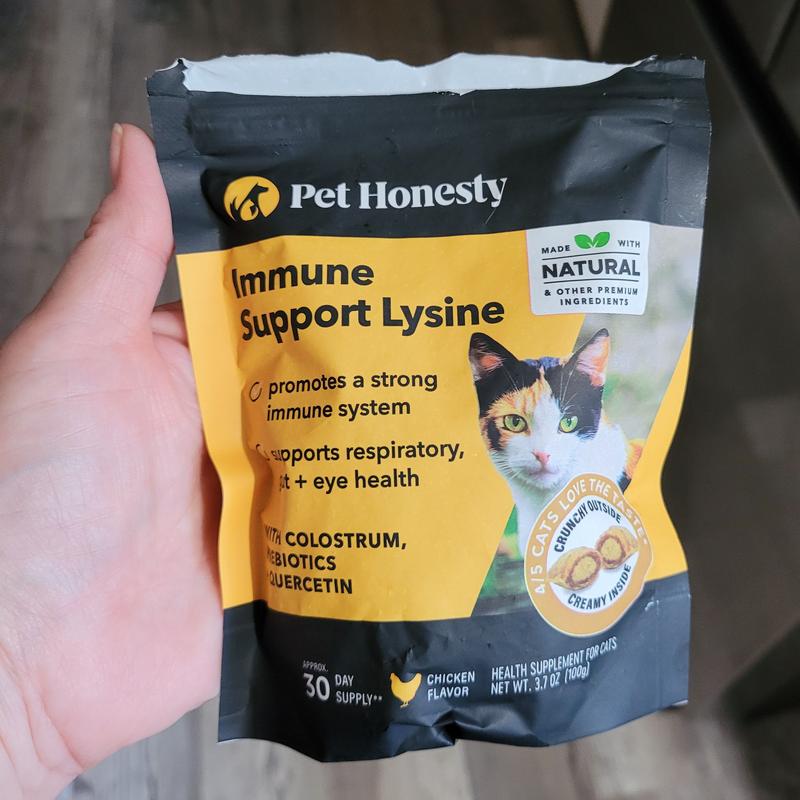 pet honest cats