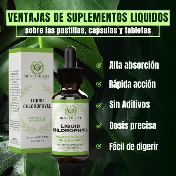 Benevolent Clorofila | Vuelve a sentirte ligera, fresca y con energía estable todo el día.