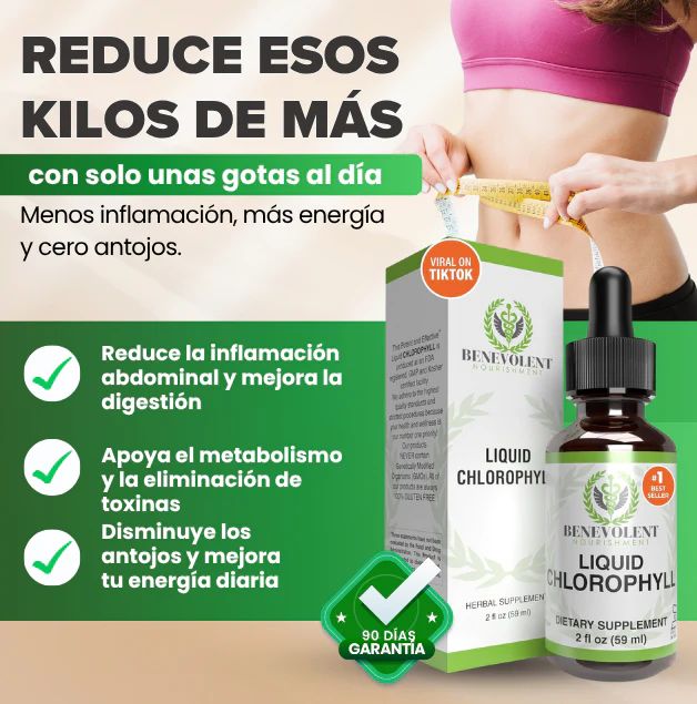 Benevolent Clorofila | Vuelve a sentirte ligera, fresca y con energía estable todo el día.